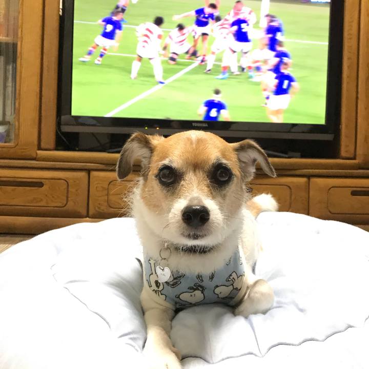 75b87fbd 3b89 480c 9501 77edb88a3df8 1568976722927