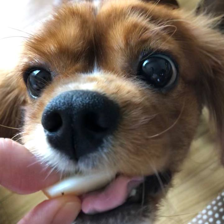 75b8a919 94e7 49b6 8e34 b407cbbc6c36 1566631722380