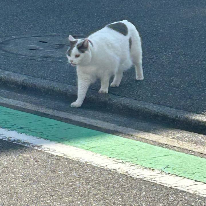 75b8cf66 5ce4 46f2 b5ab e24945d8defb 1772873622444