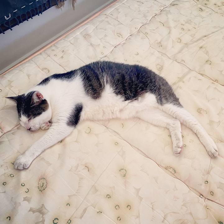 75b8ed94 ca2d 4b79 ae38 afb35241d814 1599616841223