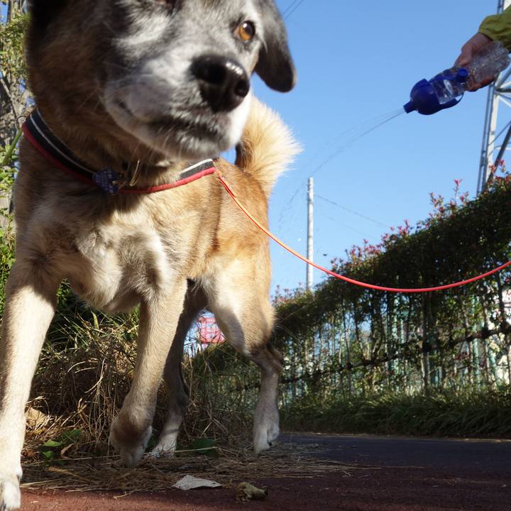 75b8f566 4c96 4a1e 97b4 1017bb14276e 1540428952747