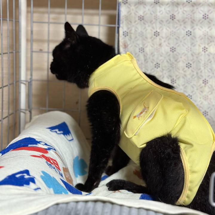 75b91cf9 3f78 49af bd2d bb0ac4a2d285 1723514285383