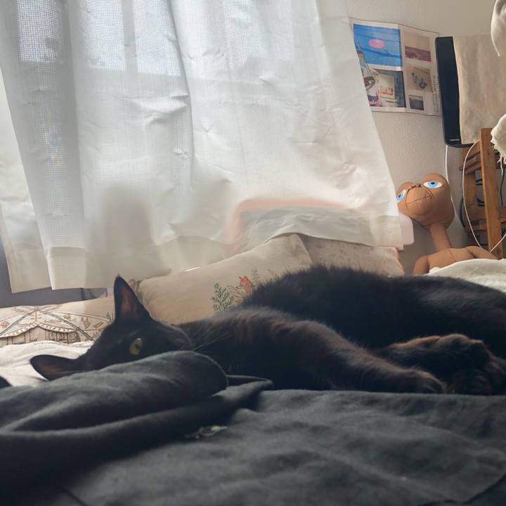 75b9533b 316a 4da3 a657 a9d5818cb800 1599994180672