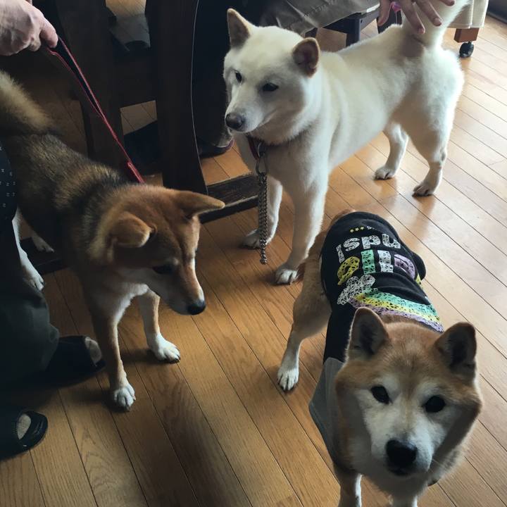 75b95369 2da0 4e80 9777 181926d234c9 1534896217967