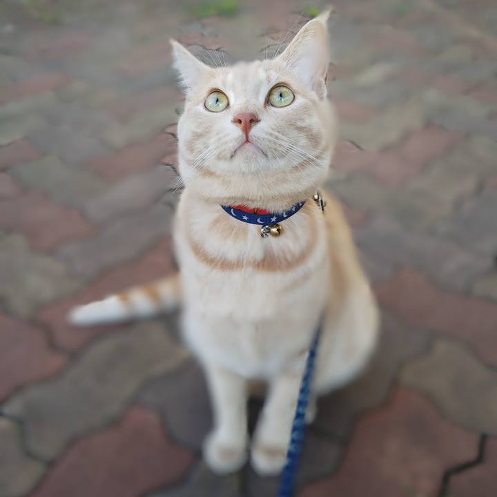 75b953fb 2231 4b23 b1c5 0b00fc7ea418 1567379063444