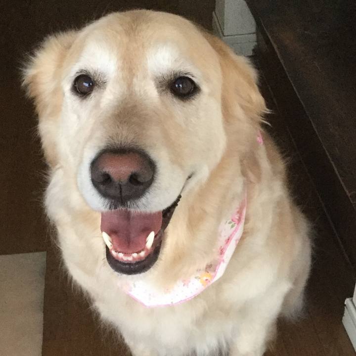 75b96067 acd2 4a83 b5da 4b2607c49418 1524734309017