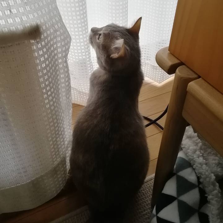 75b970cd a6c6 491e bcd0 4ca6a4e61803 1551928661651