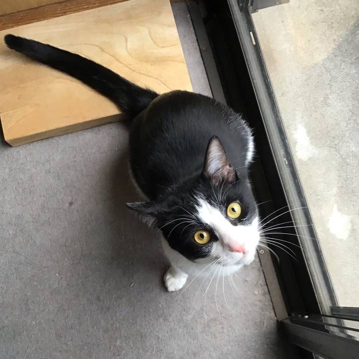 75b971ba 97b8 43ce 8d31 efad9ae270b5 1651310628155