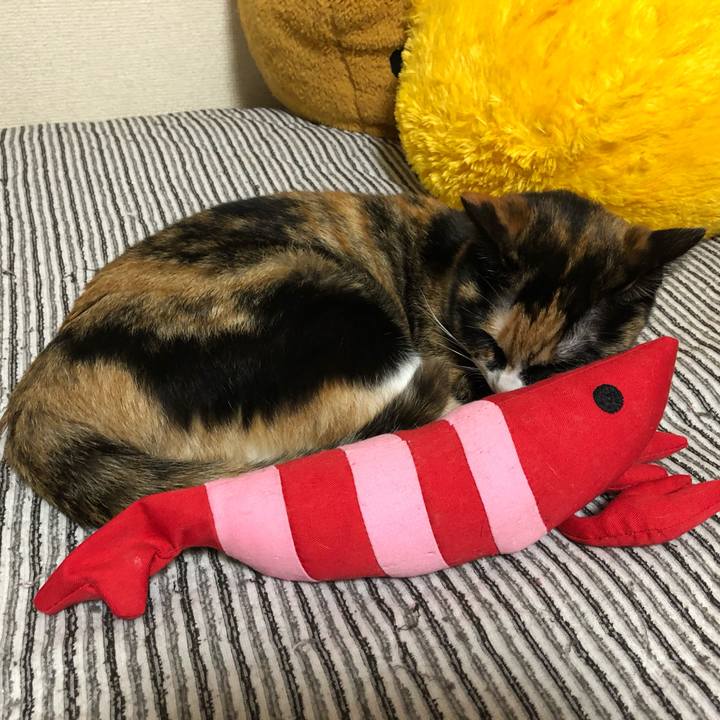 75b97d17 8fd7 4b79 9270 5ee853629c82 1560767956867