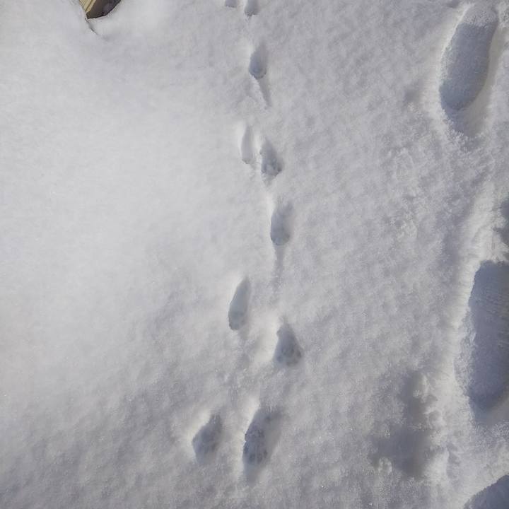 75ba1054 c921 4f4f 9878 4efa47f9b15d 1548551799743