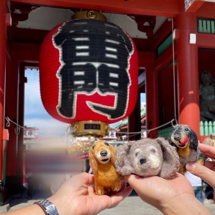 75ba2524 6d5e 4961 9874 90ee5ebfb2d0 1664447377796