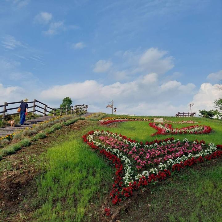 75ba47a2 0f10 4bc6 9094 36da2e3070c2 1772315536045