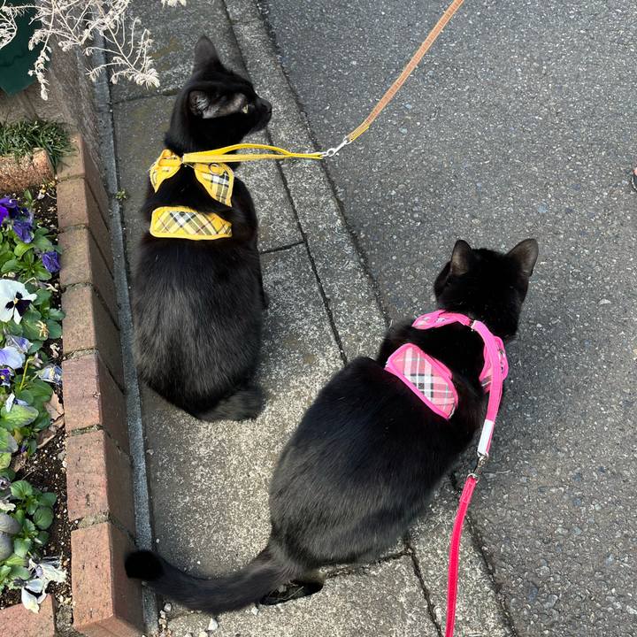 75ba6037 4482 4931 8b5b ce6c4fce6987 1644968314986