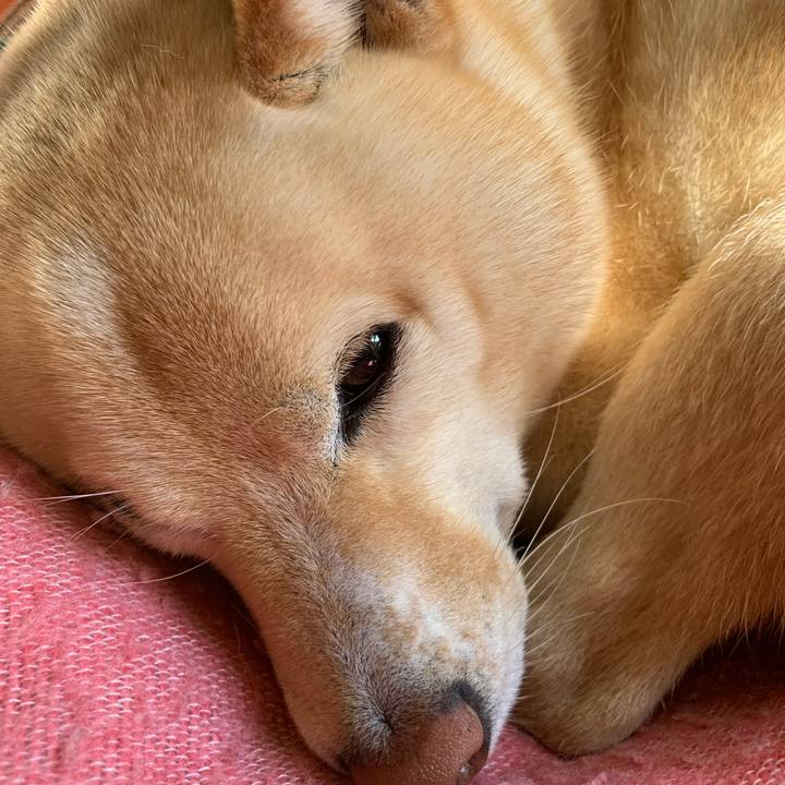 75ba7e59 9ab2 4728 96dc de6400017769 1643601678500