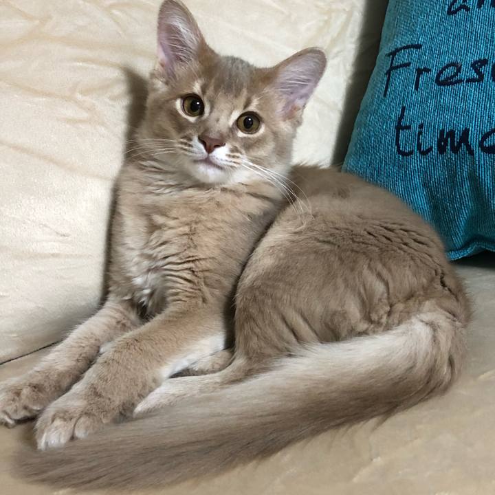 75ba8514 2a82 477f b5b3 3cfed17180dc 1548575771993