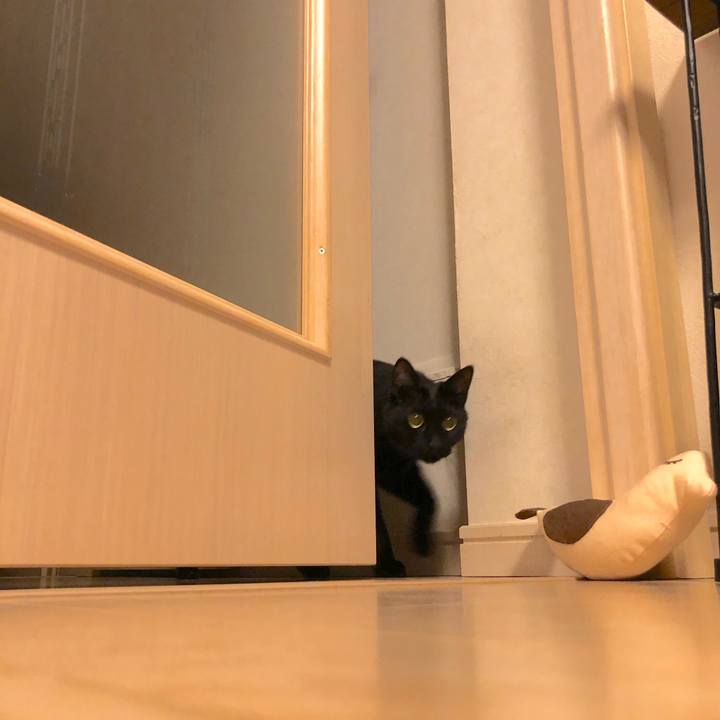 75bab636 d23e 4080 aea0 3347d1fabd88 1523540239568