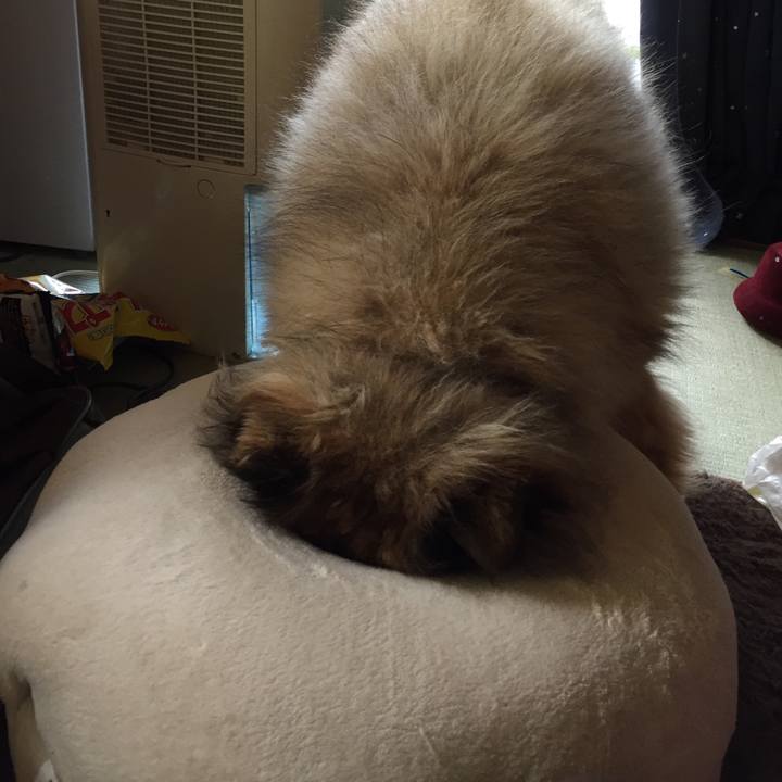 75badde2 b4e4 4608 9656 e44869e3bcd7 1550894177896