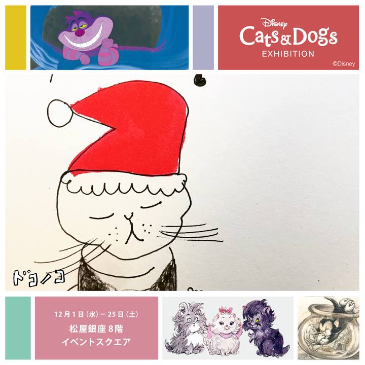 75baefbe 817c 4705 9eb5 dd1c5463d5cd 1638625724895