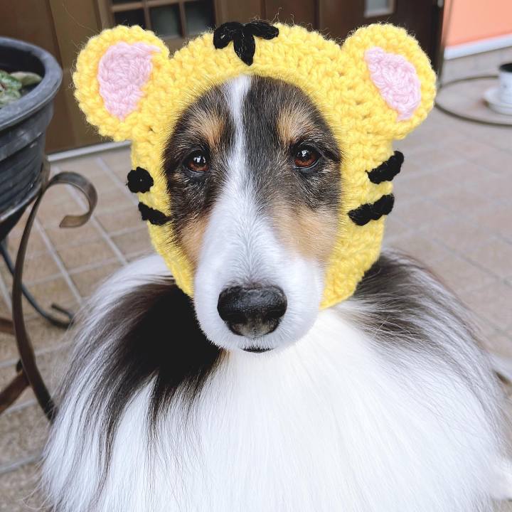 75bb1c78 9b4e 452d 91d2 4af752bd1887 1641666684863