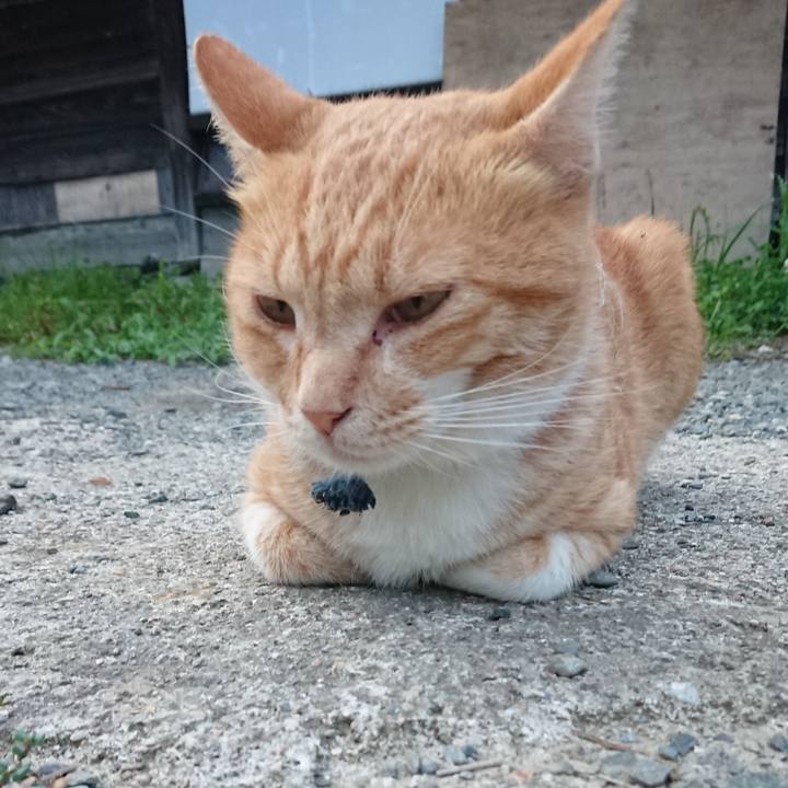 75bb23be b115 4056 ab0f b45af5a79deb 1566637885989