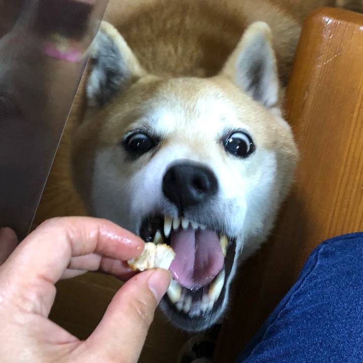 75bb46a8 4554 4ed9 bfda 9f1b346b74ee 1559997591878