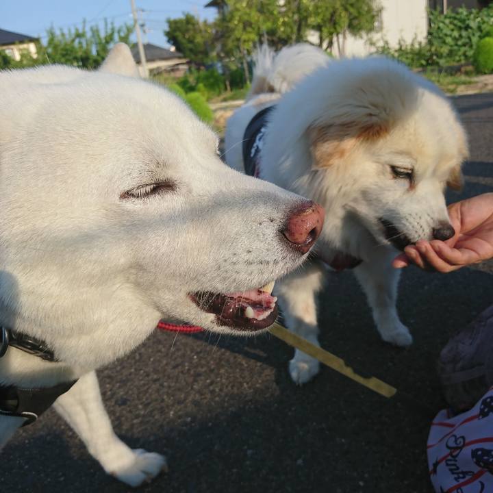 75bb871a 3b39 42ed 9b08 e0fd6b4a2649 1533353906738