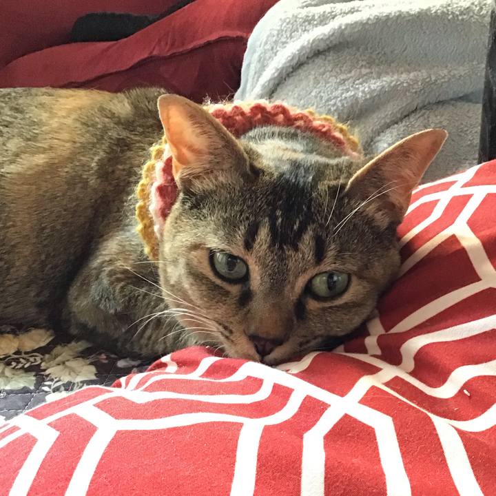 75bb9c7c 939d 4220 8662 a58d54adb352 1623297294703