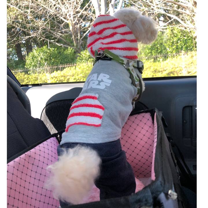 75bbaacf 6afa 4d69 9789 e07634100bba 1553404940947