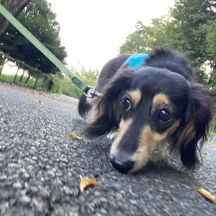 75bbb69a 12e3 4a2b 864f e488ab5a4de2 1758068157491