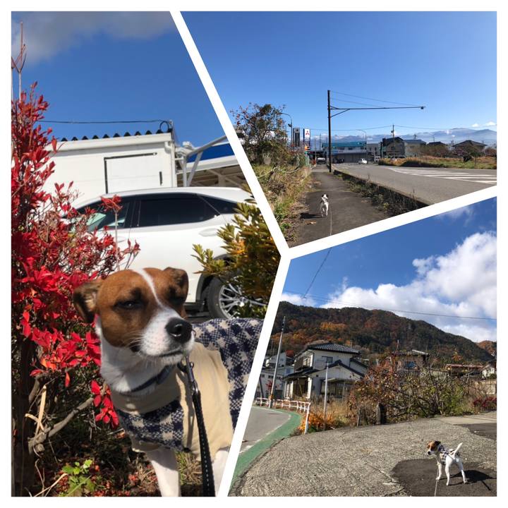 75bbe374 10b6 413f a6b5 73c8d1470ae7 1574311657378