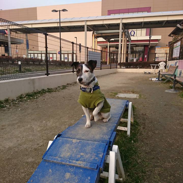 75bbe3f7 4686 41c9 8402 b2381bbc89d1 1519718366562