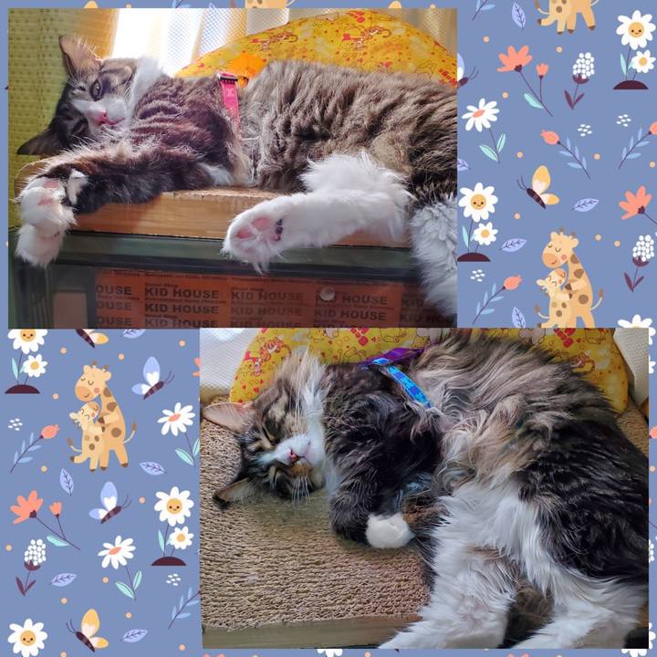 75bc4f26 7952 4c2b 858d 533d7cdbf180 1696595340976