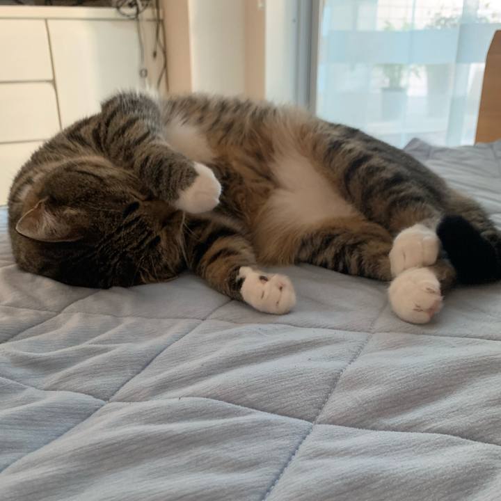 75bcacea b7b0 4b5d a074 2d6d4ca20373 1626738442505