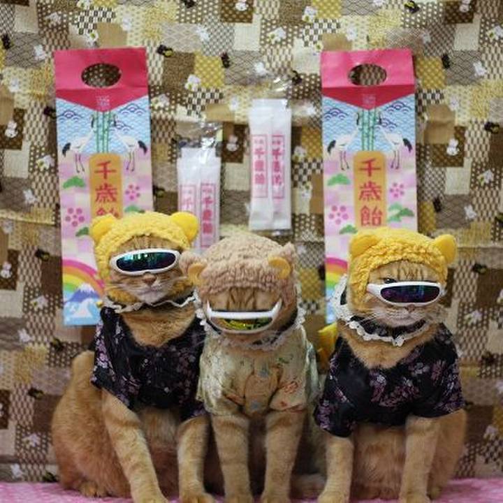 75bcba15 4f4c 47a6 b780 ee7df2ba2823 1605440345866