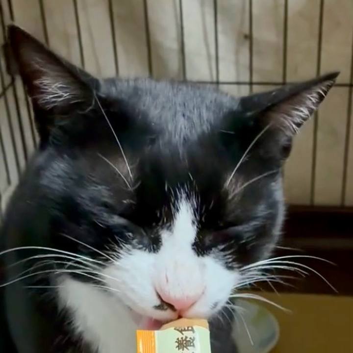 75bce9bb 7dae 4e2c 8f89 19f9460da802 1752054005032