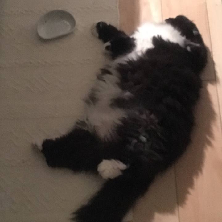 75bd30a8 b614 4db5 924a 173a119a16cb 1511345877934