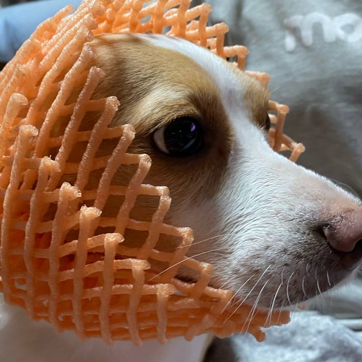 75bd3a30 5595 4e15 9d75 b258567f691b 1625128986179