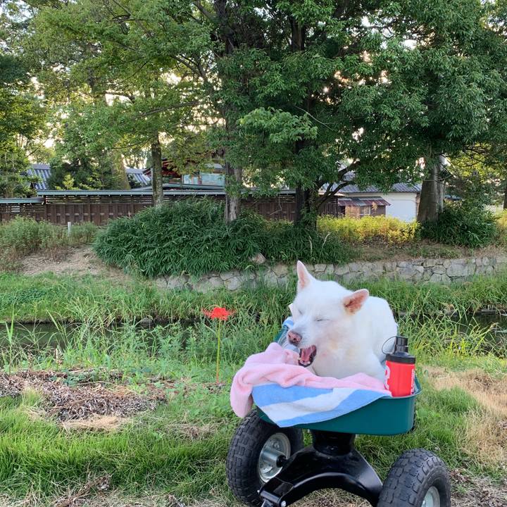 75bd415b 59eb 46b4 a9ed 9030536c16f0 1569710681054