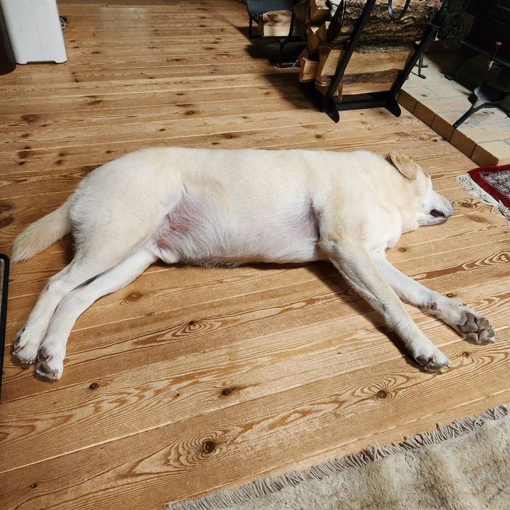 75bd6128 0f9f 451c 8abf 5446d488ce50 1754975804091