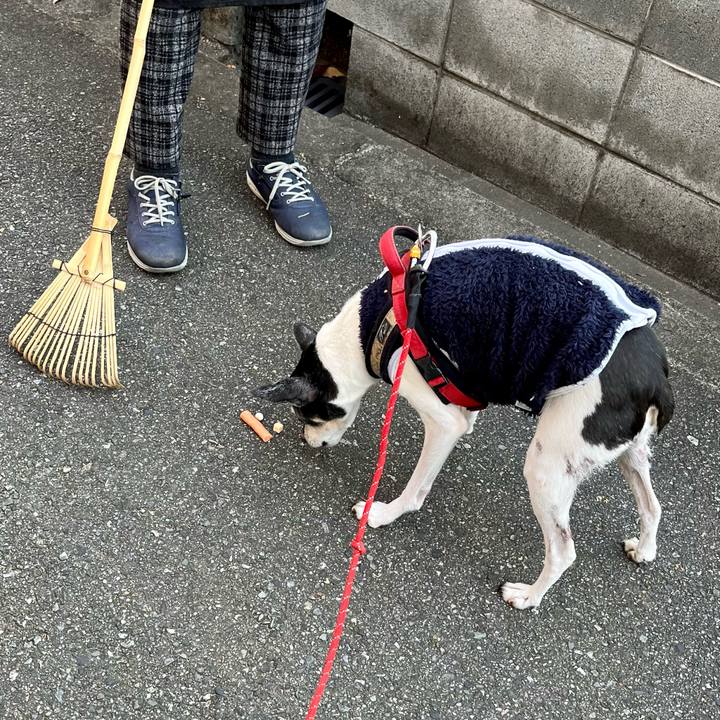 75bd647b 4c73 4f50 bfb1 e2dbec977b8e 1637368873645