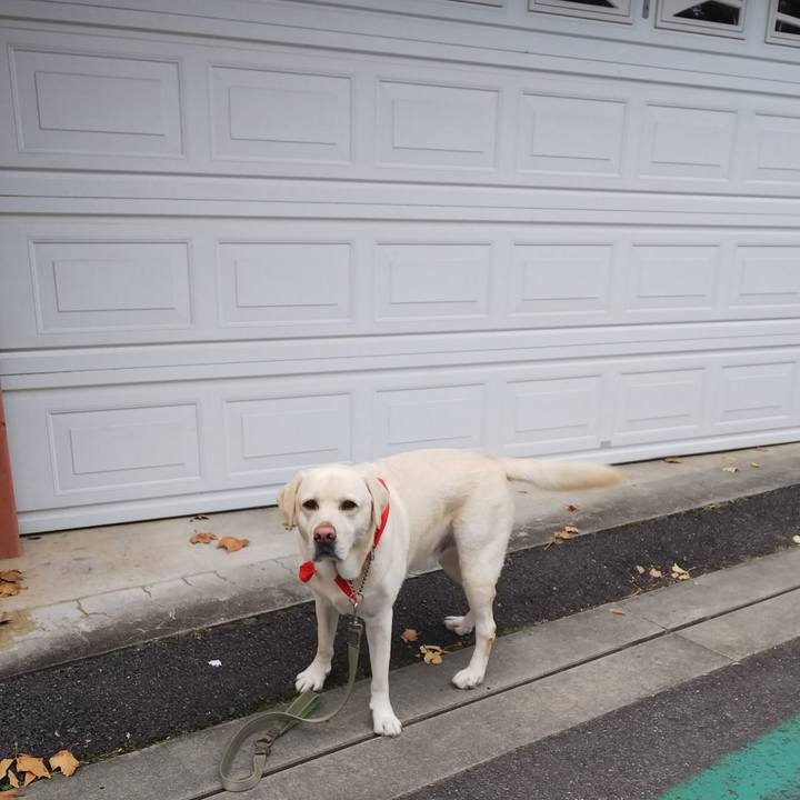 75bd8214 f3f7 4ac0 b384 ca6f181c245c 1575594979747