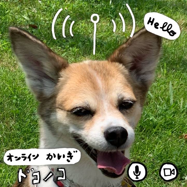 75bd8acc aac4 480f b044 9ae1873256b3 1593535396075