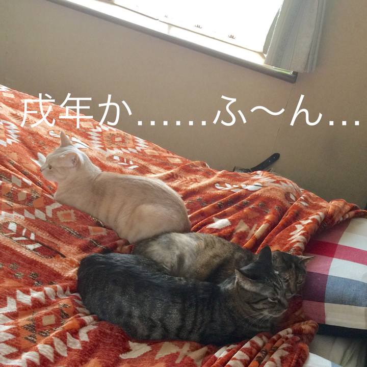 75bdb9ff 67f9 40c7 a8e4 e9c1743fc671 1514732797134