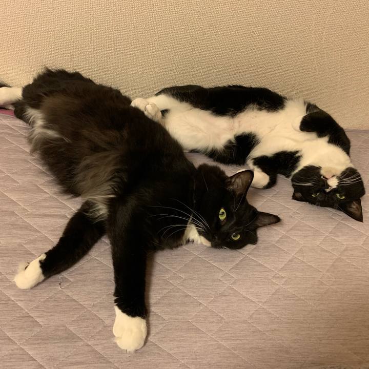 75bded3f 083a 4a3f bd67 10443cec3ece 1570368476639