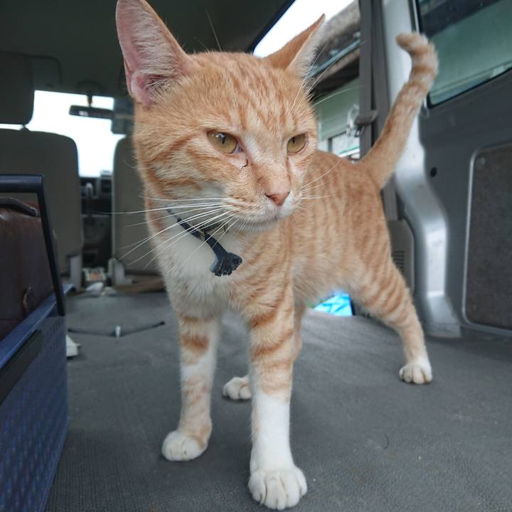 75bdfc17 ab6d 4561 938b bf6faa043e69 1564131757397