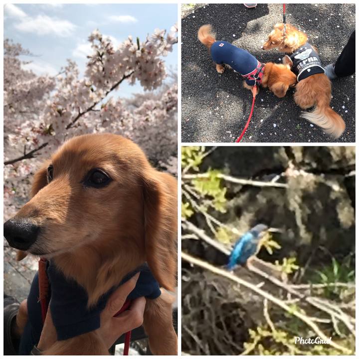 75be073e 93f9 4a02 8fa4 3180258690fa 1585889380277