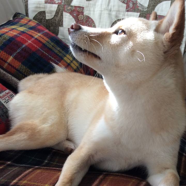 75be2042 5f94 440a 8c28 5991b961ec52 1512444064359