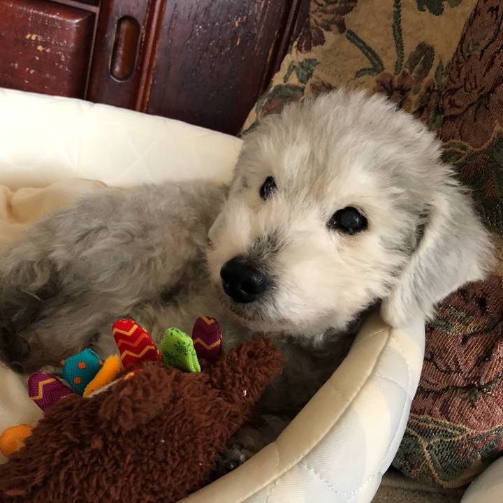 75be2cc9 a71b 4d58 acc3 6e1f32cd4f89 1647305172408