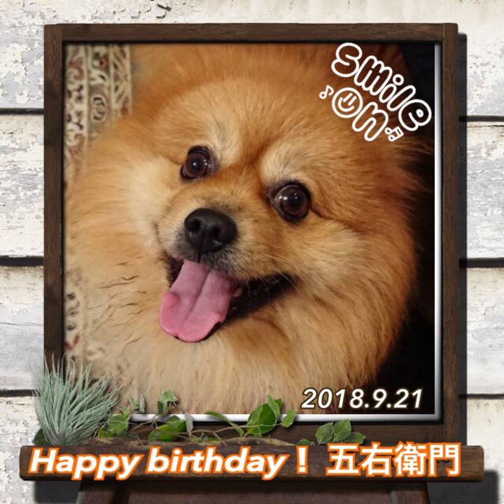 75be5aa7 59c7 4c37 8c46 61ca97529bd5 1537521369843