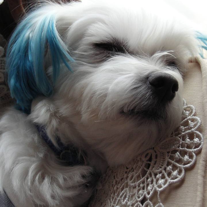 75be85d2 0c55 4e4e 8bca 471f2688557c 1532996027943